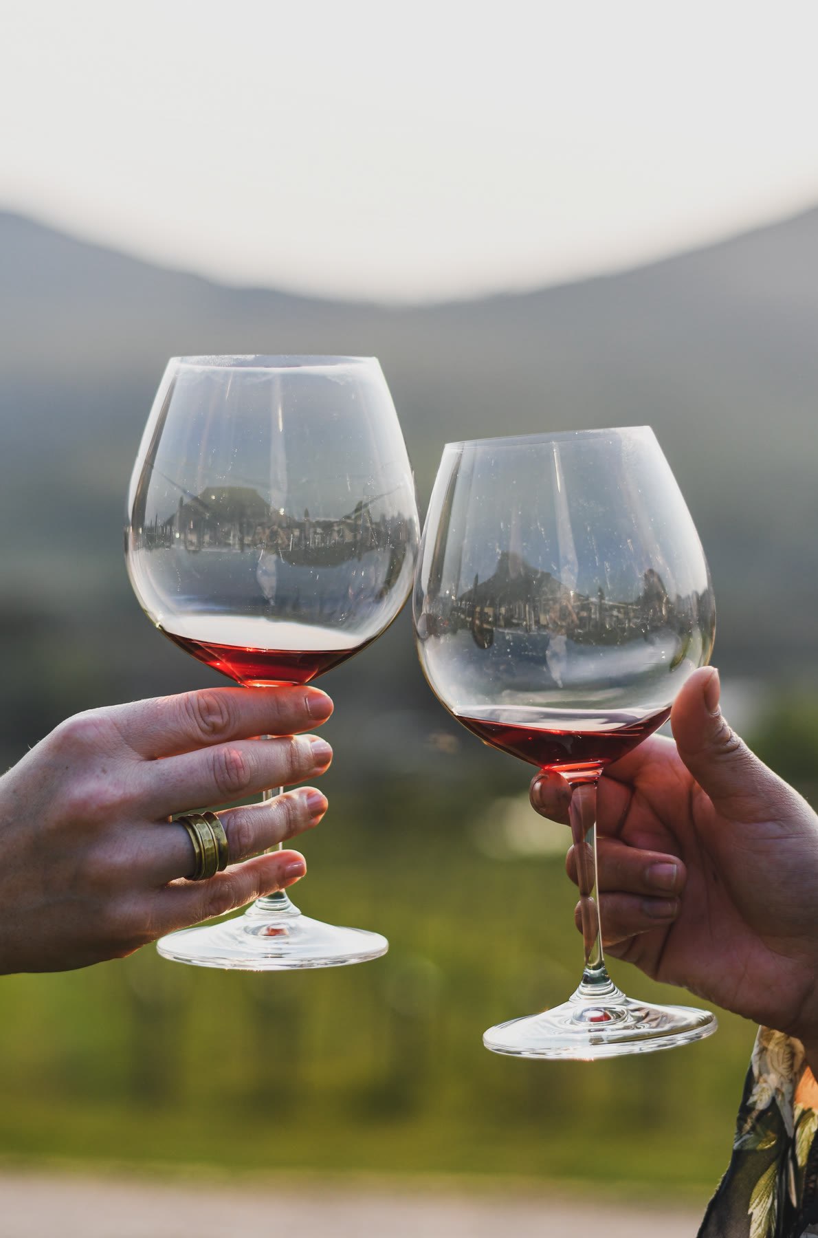 Guests toasting at sunset